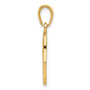 14k Chamseh Hand of God with Star of David Pendant