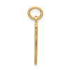 14k Ballet Slipper Charm