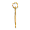 14k RN Registered Nurse Charm