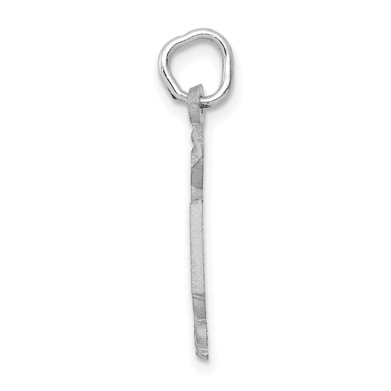 14k White Gold RN Registered Nurse Charm