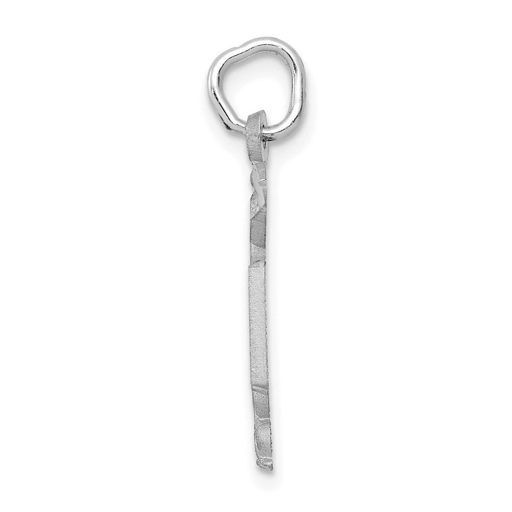 14k White Gold RN Registered Nurse Charm
