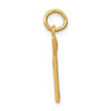 14k Diamond-cut RN Registered Nurse Charm