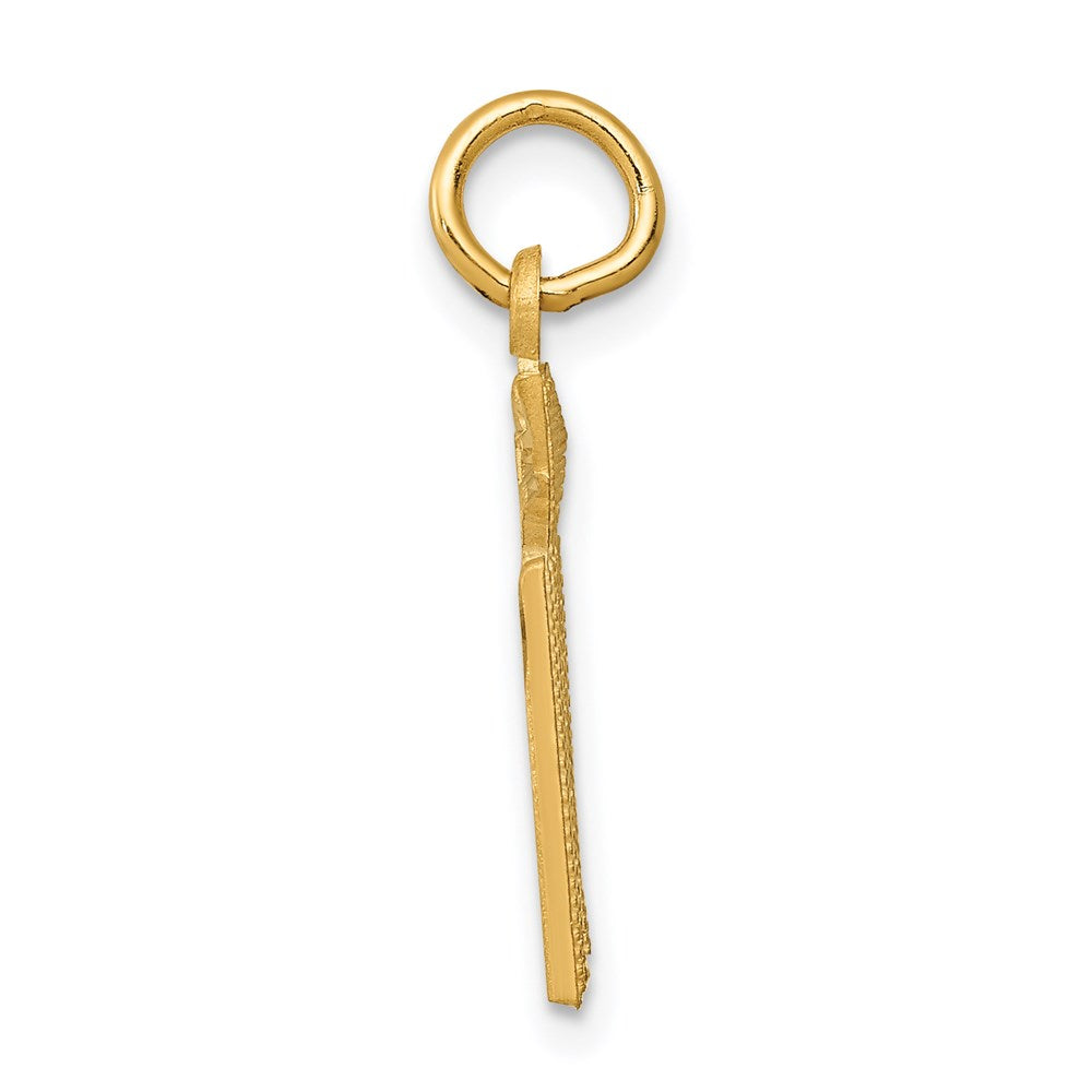 14k Diamond-cut RN Registered Nurse Charm