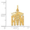 14k Diamond-cut RN Registered Nurse Charm