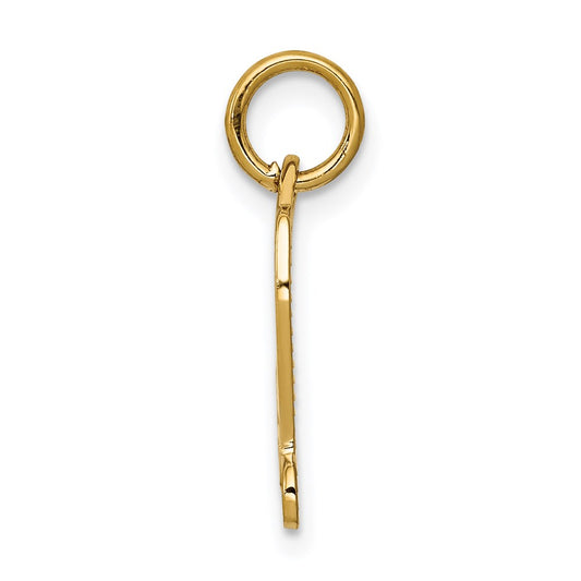 14k DIPLOMA Engravable Charm
