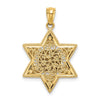 14k Two-tone Star of David and Torah Pendant