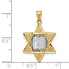 14k Two-tone Star of David and Torah Pendant