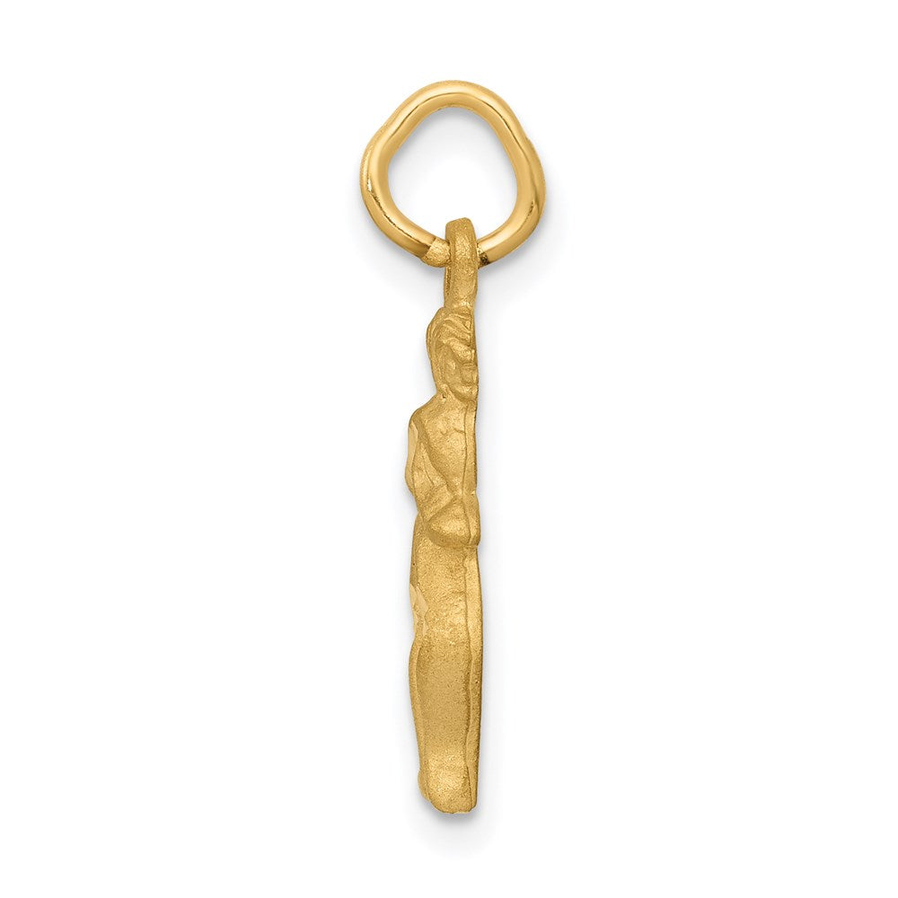 Gold Diamond-cut Zodiac Charm