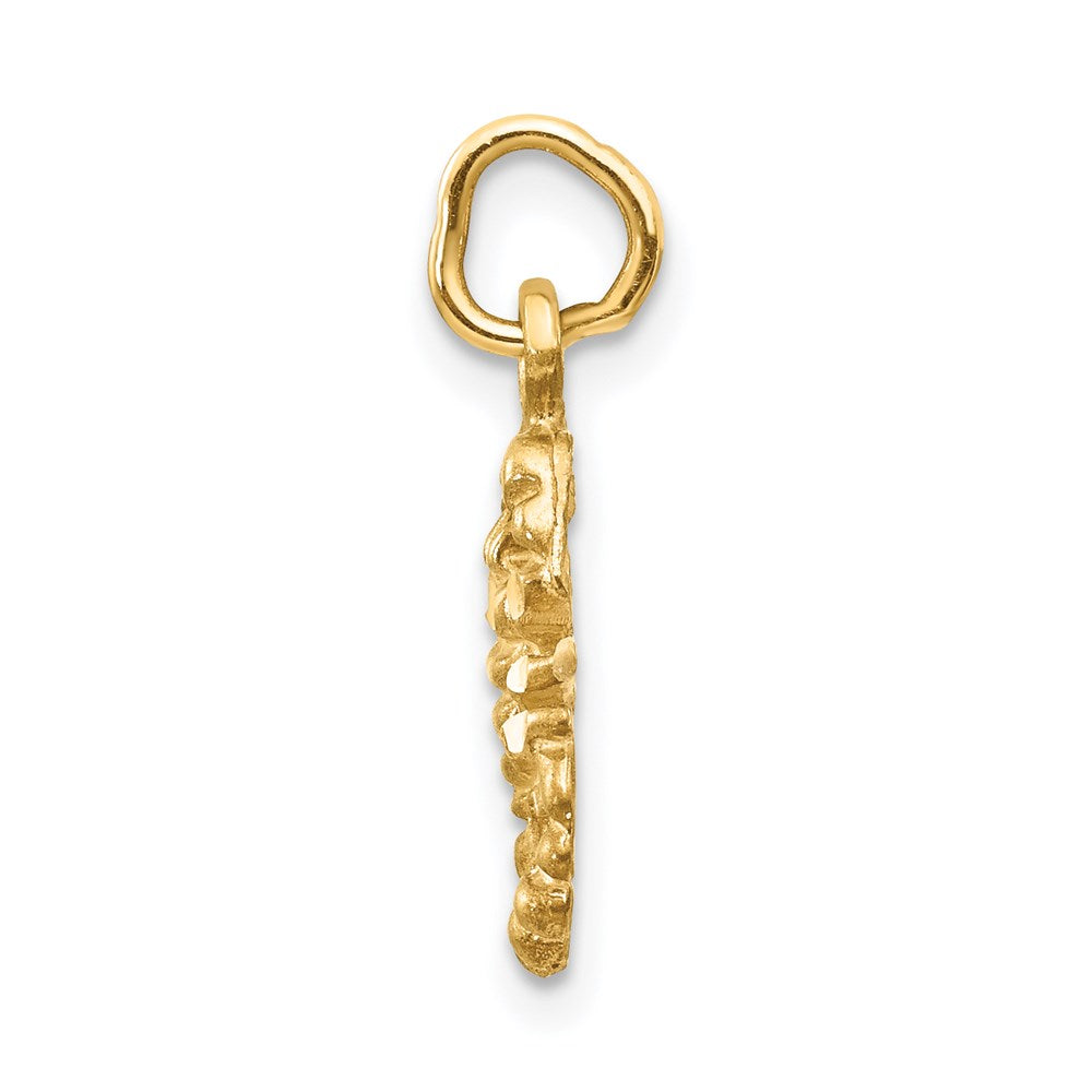 Gold Diamond-cut Zodiac Charm