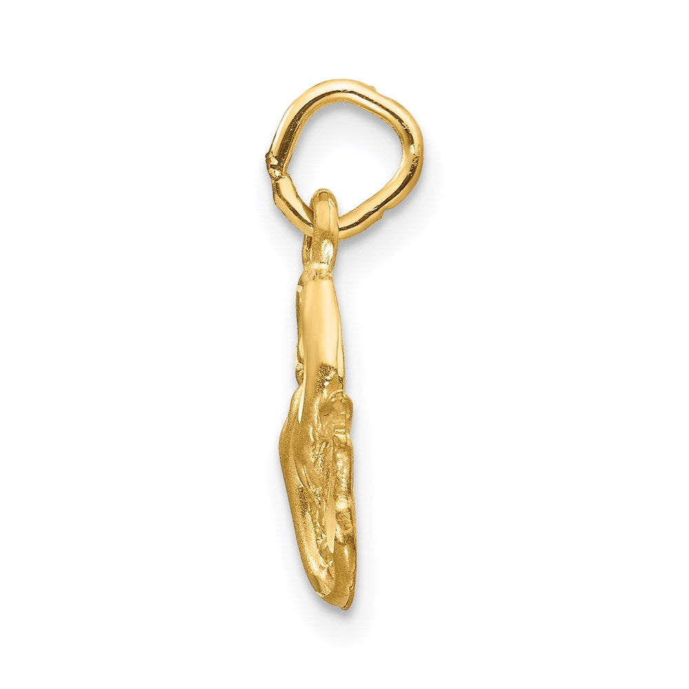 Gold Diamond-cut Zodiac Charm