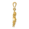 14k Polished Three Dolphin Charm