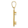 Wideband Distinguished Coin Jewelry 14k Polished and Diamond-cut with Casted Rope 14.0mm Prong Coin Bezel Pendant