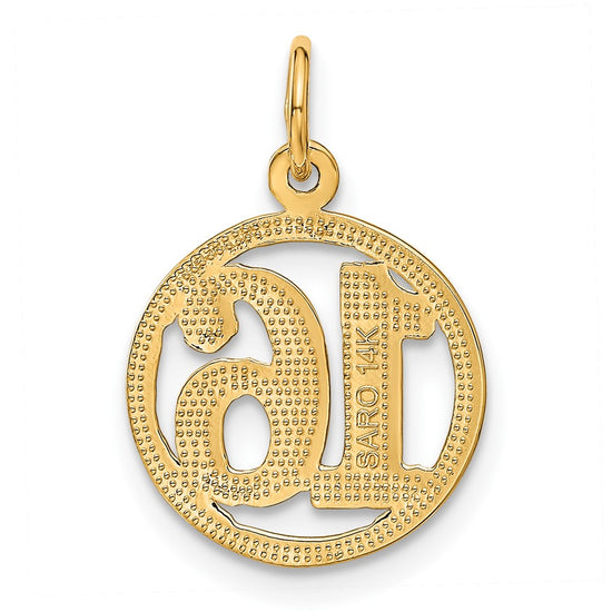 14k 16 in Circle Pendant