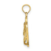 14k 3-D Solid Polished HAWAII Flip-Flops Charm