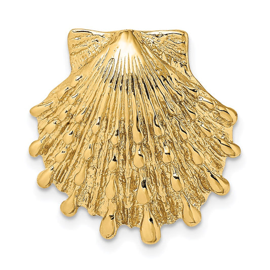 Gold Polished Sea Shell Pendants