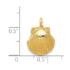 Gold Polished Sea Shell Pendants