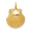 Gold Polished Sea Shell Pendants