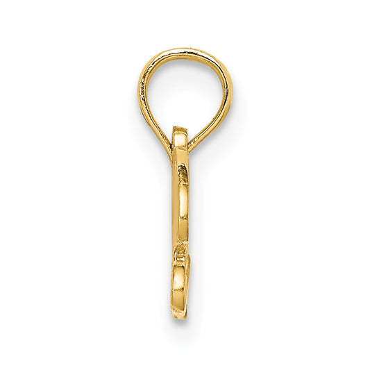 14K PRECIOUS Charm