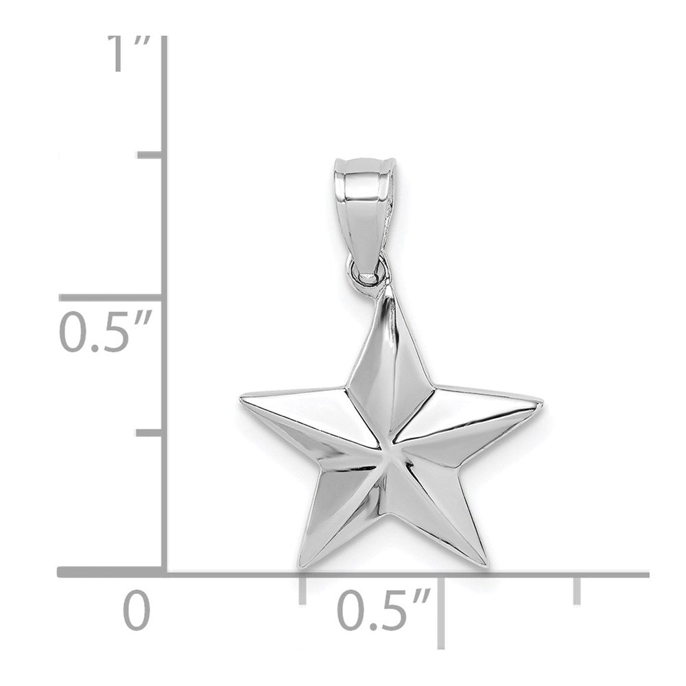 14K White Gold Polished Star Pendant