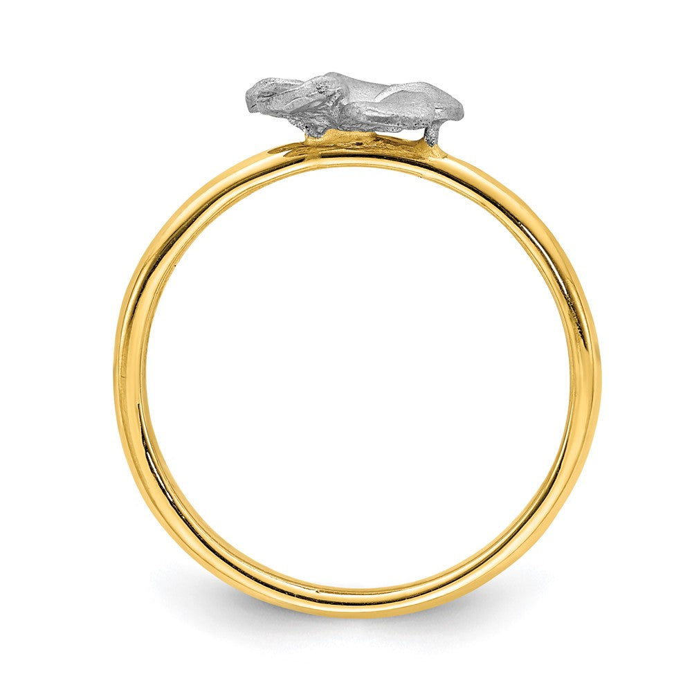 Gold Polished Plumeria Rings