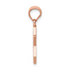 14K Rose Gold Polished Star of David Pendant