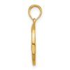 Gold Polished Round Zodiac Pendant