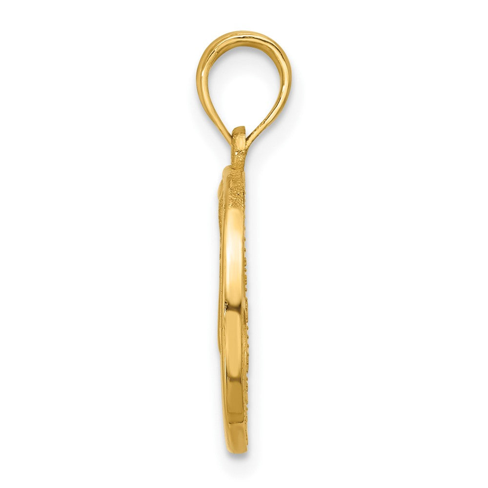 Gold Polished Round Zodiac Pendant