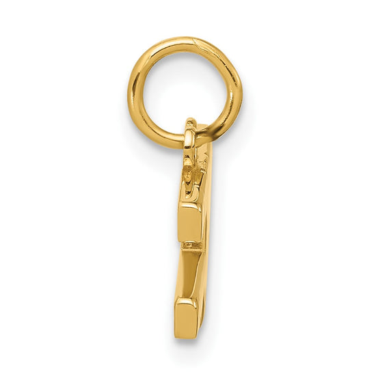 14k Pink Enameled GIRLS RULE WORLD Charm