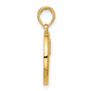 Gold Polished Round Zodiac Pendant