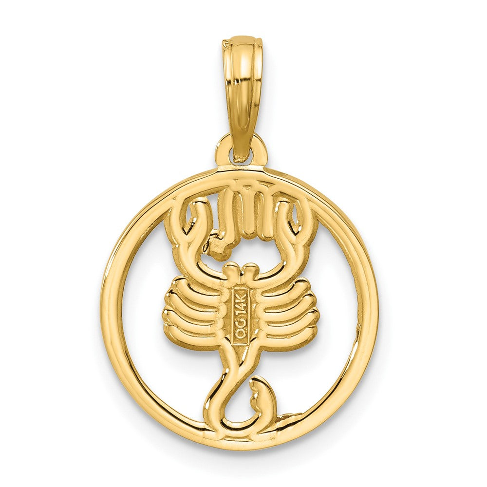 Gold Polished Round Zodiac Pendant