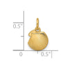14K Polished Textured Seashell Pendant
