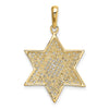 14K and White Rhodium Solid Mesh Star Of David Charm