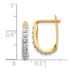14k Diamond Fascination Diamond Dust/Accent 2x16mm Oval Hinged Hoop Earrings