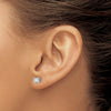14k White Gold 5/8 carat Lab Grown Diamond VS+ F+ Round Complete Four Prong Heavyweight Stud Earrings