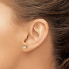 14k 5/8 carat Lab Grown Diamond VS+ F+ Round Complete Four Prong Screwback Heavyweight Stud Earrings