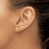 14k White Gold 1/3 carat Lab Grown Diamond VS+ F+ Round Complete Three Prong Screwback Stud Earrings