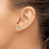 14k White Gold 5/8 carat Lab Grown Diamond VS/SI+ G+ Round Complete Three Prong Screwback Stud Earrings