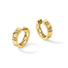 14k 1/3 carat Lab Grown Diamond VS/SI+ G+ Complete Fashion Hinged Hoop Earrings