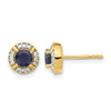 Diamond and Gemstone Fancy Halo Earrings