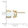 14k Gemstone Post Earrings