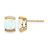 14k Gemstone Post Earrings