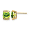 14k Gemstone Post Earrings