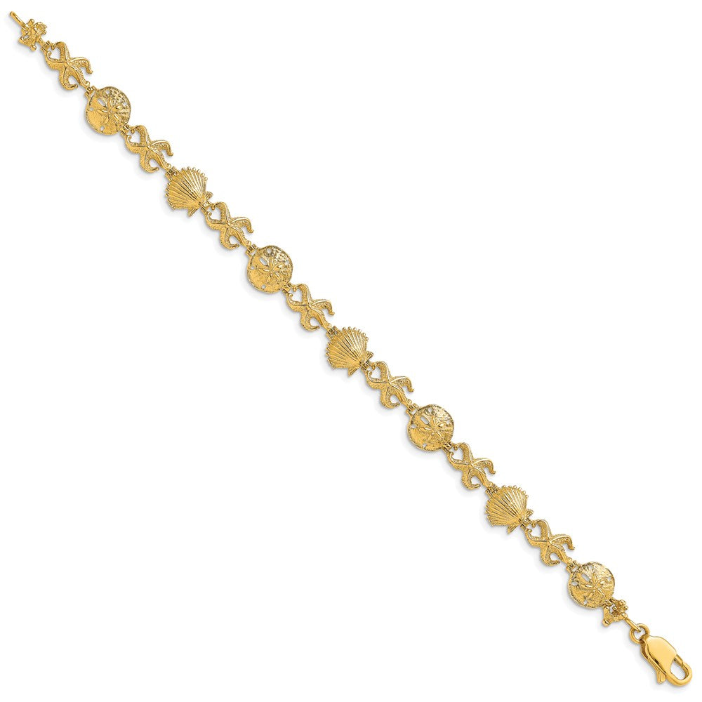 14K Polished Shell/Sand Dollar/Starfish 7 inch Bracelet