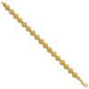 14k Scallop Shell 7 inch Bracelet