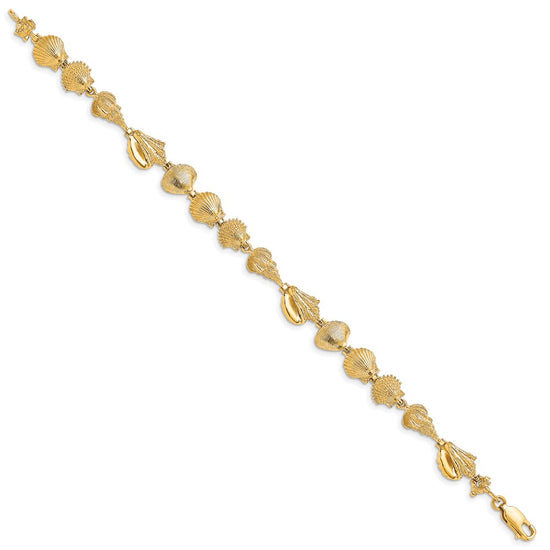 14k Polished Assorted Sea Shells 7.25 inch Bracelet