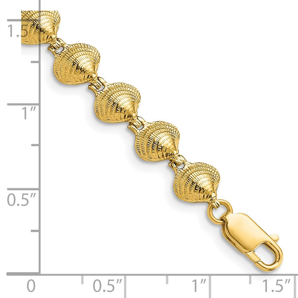 14k Polished Clam Shell 7 inch Bracelet