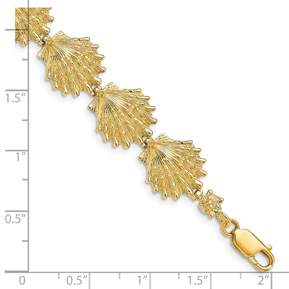 14k Polished Lions Paw Shell 7 inch Bracelet