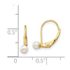 Madi K® Gold FWC Pearl Leverback Earrings