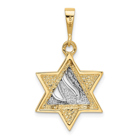 14k Two-tone Star of David with Shin Symbol Pendant