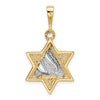 14k Two-tone Star of David with Shin Symbol Pendant